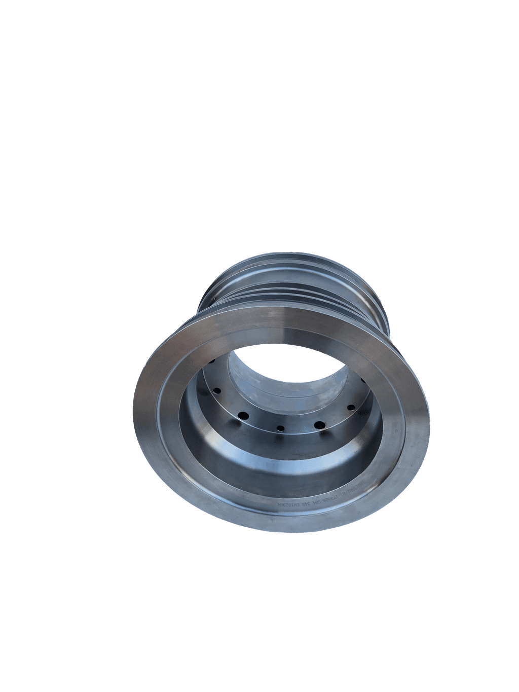 Bosch R. - piston for hydraulic (industrial)